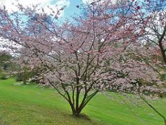 149 PARC ORIENTAL DE MAULEVIER MAINE ET LOIRE 2016 N0_000021